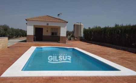 Piscina modelo 8 (9×4 metros)